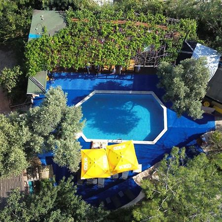 Shiva Camp Ξενοδοχείο Faralya Εξωτερικό φωτογραφία