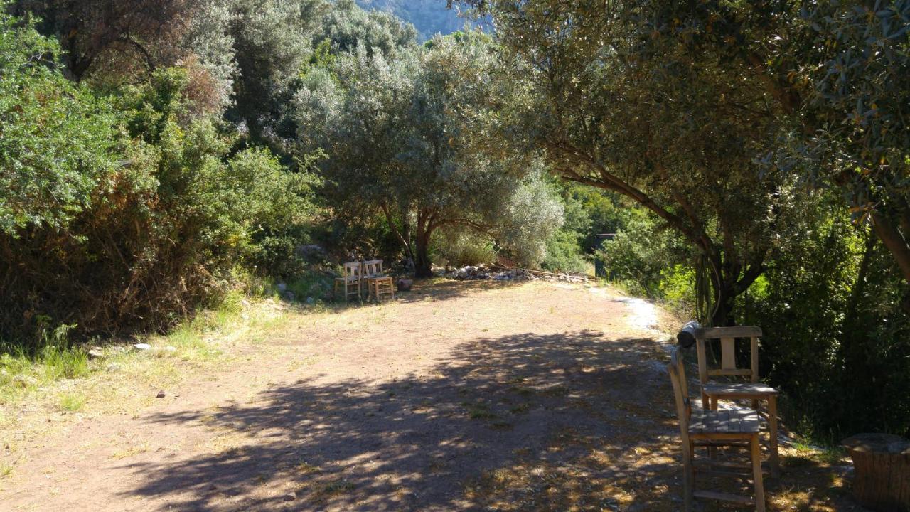 Shiva Camp Ξενοδοχείο Faralya Εξωτερικό φωτογραφία