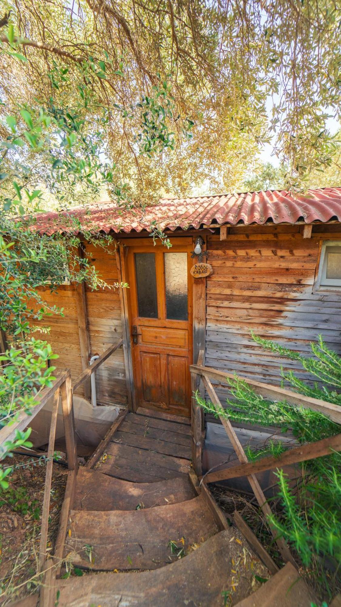 Shiva Camp Ξενοδοχείο Faralya Εξωτερικό φωτογραφία