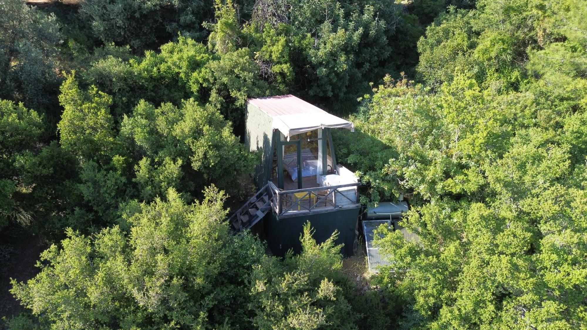 Shiva Camp Ξενοδοχείο Faralya Εξωτερικό φωτογραφία