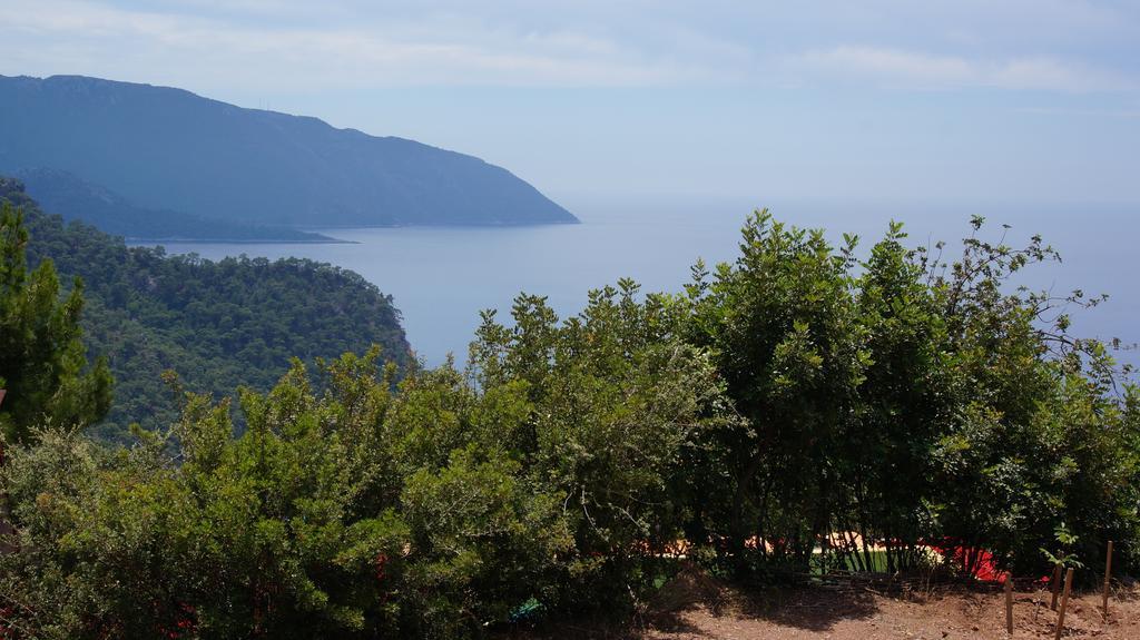 Shiva Camp Ξενοδοχείο Faralya Εξωτερικό φωτογραφία