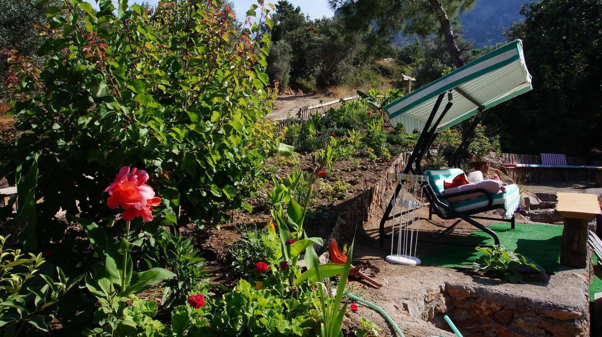 Shiva Camp Ξενοδοχείο Faralya Εξωτερικό φωτογραφία